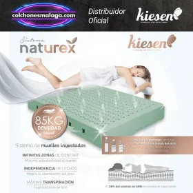 Descripcion de la tecnologia de Muelles Inyectados Naturex