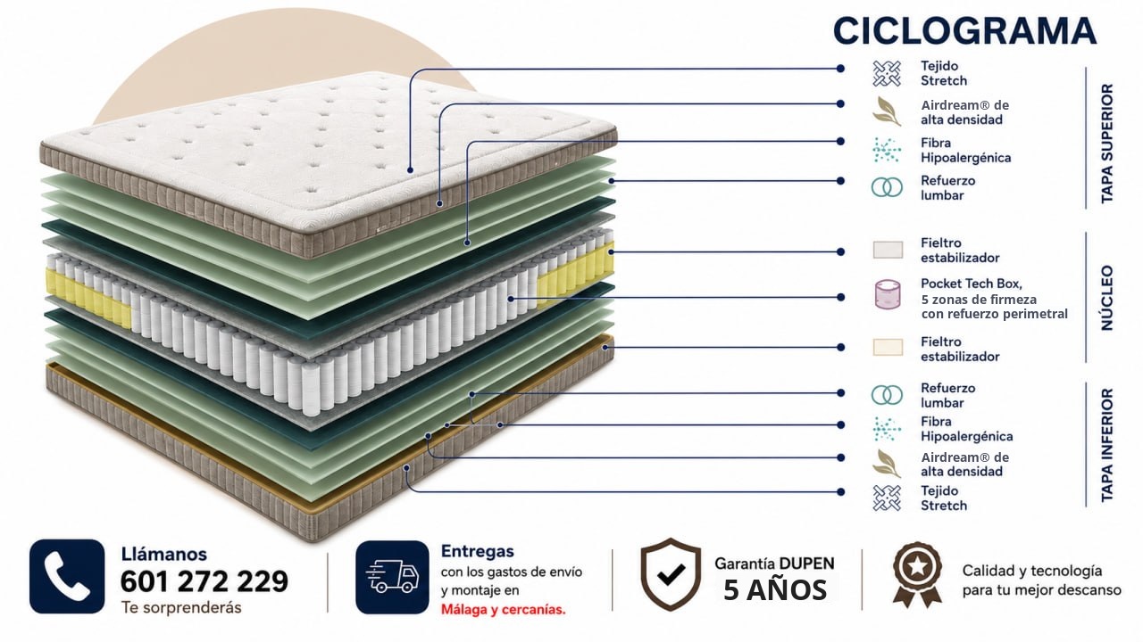 Cyclogram of the Dupen Lumbar Tech mattress Ciclograma del colchón Lumbar Tech de Dupen: tapa superior, núcleo Pocket Tech Box de 5 zonas y tapa inferior
