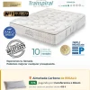 Colchón Viscoelástico Moraplex Thermorespir II - Todosduermen.com — Distribuidores Oficiales Moraplex