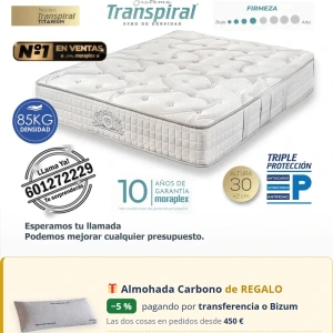 Colchón Viscoelástico Moraplex Thermorespir II - Todosduermen.com — Distribuidores Oficiales Moraplex