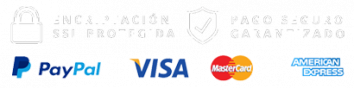 pago seguro paypal 2